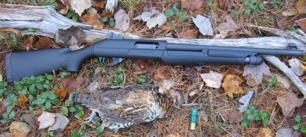Making it work: Using the Home defense shotgun for hunting