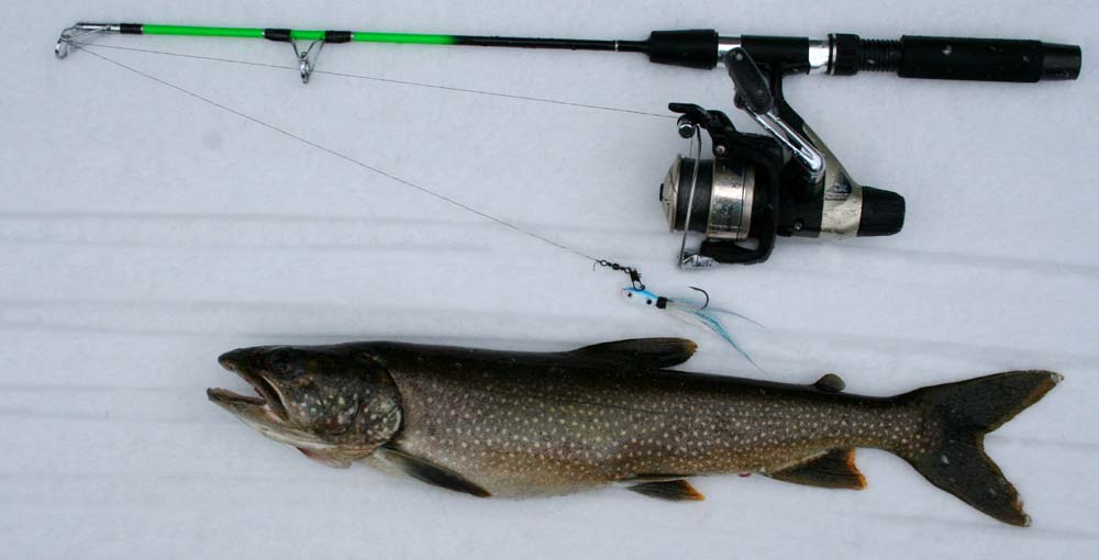 Above: A lake trout caught via jig during the 2012 season.